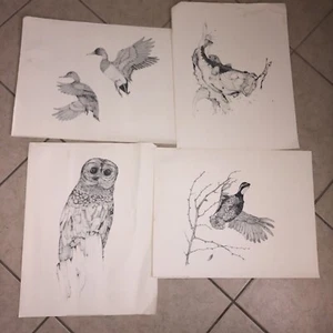 Ducks & quail Fish  And Owl prints Texas artist h gayle bonsall - Picture 1 of 5