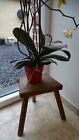 Veritable Tabouret Stool Bois Style Perriand Brut Tripode Farmer Annees 60 Pied