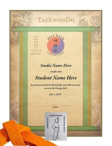 Martial Arts Certificates - TaeKwonDo & Karate Rank Certificates - Pack of 10 - Picture 1 of 2