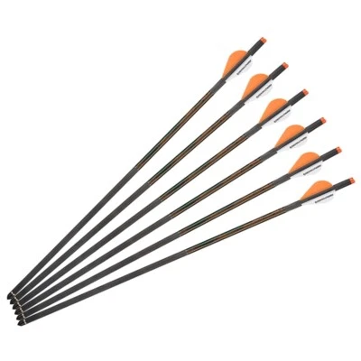 Ballesta de carbono de tiro con arco de 20 pulgadas pernos ballesta flechas de caza con levas lunares paquete de 6 Foto 1 de 4