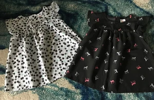 Circo Girls 4T Shirt Blouse Top Lot Of 2 Stars Zebras - Picture 1 of 9