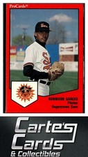 Robinson Garces 1989 ProCards Minor League Team Sets #281  Hagerstown Suns