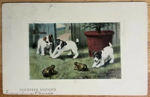 Doubtful Visitors Puppies & Frogs Postcard PC Circa 1906 Valentine Artist Signed - Picture 1 of 1