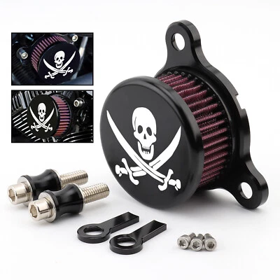 Sistema de admisión de filtro de aire Skull para Harley Sportster XL 883 Forty Eight Foto 1 de 4