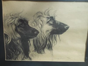 1980s Nancy Louvier Lithograph Afghan Hounds Dogs Artist Signed 128/200 Dog - Picture 1 of 7