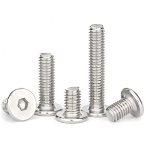 M3 M4 M5 M6 M8 SS presa esagonale ultrasottile basso tappo wafer piatto tappo testa vite - Foto 1 di 6