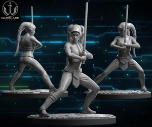 Aayla Secura - Compatible con Star Wars Shatterpoint - Warblade Studios - Imagen 1 de 1