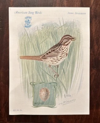 Vintage 1928 Sparrow w/ Egg; Singer Sewing "American Singers" Bird Trade Card - Image 1 of 4