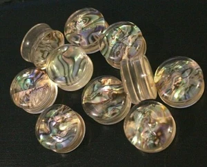 Abalone Shell Double Flare Acrylic Earrings Ear Plug Tunnel Gauge Pearl Metallic - Picture 1 of 9