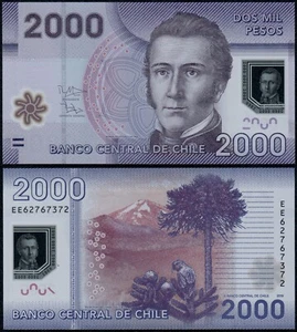 Chile 2000 Pesos (P162f) 2016 POLYMER UNC - Bild 1 von 1