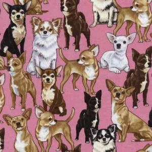 3 Yards Quilt Cotton Fabric - Timeless Treasures Dog Chihuahuas on Pink - Picture 1 of 1