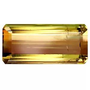 2.26 ct Octagon (11 x 5 mm) Unheated / Untreated Mozambique Bi- Tourmaline - Picture 1 of 2