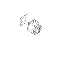 NUEVA bomba hidráulica genuina para TYM Branson NT99010000A3 - Imagen 1 de 1