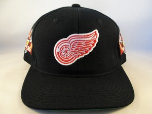 Stanley Cup Detroit Red Wings NHL Fan 