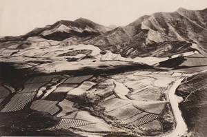1925 Press Photo Aerial View of the Pineapple Plantation at Pali Honolulu Hawaii - Picture 1 of 2