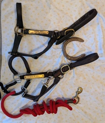 Lote de 2 soportes para caballos de carreras de raza estándar / soportes de cuero usados Foto 1 de 4