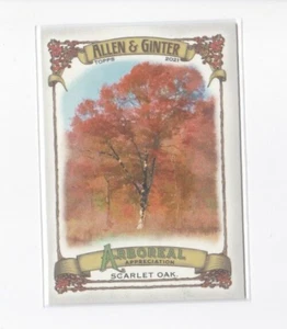 SCARLET OAK 2021 ALLEN & GINTER ARBOREAL APPRECIATION INSERT CARD-SHIPS FREE - Picture 1 of 21