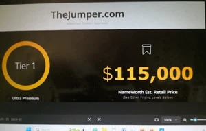 THEJUMPER.COM - 11 years old ULTRA PREMIUM domain name TIER 1. BRANDABLE. - Picture 1 of 1