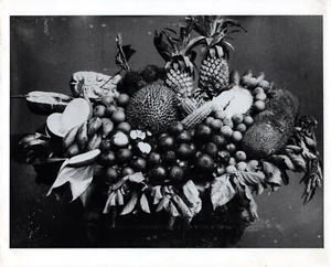 Fotografia pubblicitaria, frutta giapponese, c. 1880, di John Thomson - Foto 1 di 2