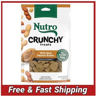 NUTRO Crunchy Dog Treats with Real Peanut Butter, 10 oz. Bag - Image 1 of 4