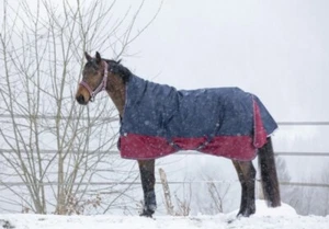 Winterdecke Highneck Füllung TYREX 1200D EquiTheme marineblau/bordeauxrot NEU - Bild 1 von 7