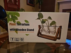 Pflanzenterrarium mit Holzständer für Hydrokultur Haus Garten Büro Dekoration - Bild 1 von 3
