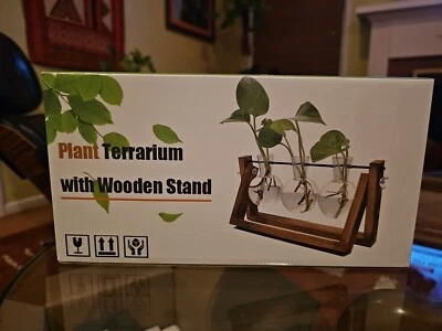 Terrario de Plantas con Soporte de Madera para Hidroponía Hogar Jardín Oficina Decoración Foto 1 de 3