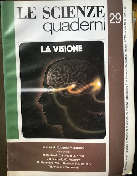 La visione. Quaderni Le Scienze n. 29 - Immagine 1 di 1