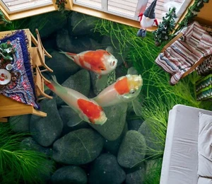 3D Goldfish Stone 31RAIN70 Floor WallPaper Murals Wall Print Decal AJ Honey - Picture 1 of 6
