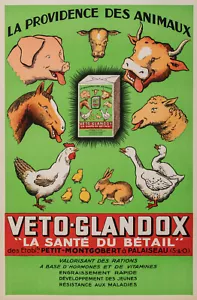 Affiche originale, Veto-Glandox, ferme des animaux, cochon, vache, cheval lapin poulet 1939 - Photo 1/5