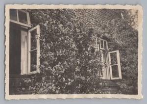 Klingberg Scharbeutz 1932 - Buchenwinkel Pension Kirchblüte - Altes Foto - Picture 1 of 2
