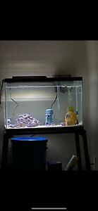 complete aquarium setup