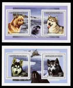 FINNISCHER SPITZ ALASKAN MALAMUTE ESKIMO HUSKY SCHLITTENHUND BRIEFMARKEN 1998 TSCHAD - Bild 1 von 1