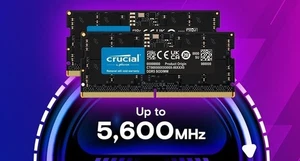 RAM para portátil Crucial DDR5 24 GB 5600 SODIMM - Imagen 1 de 1