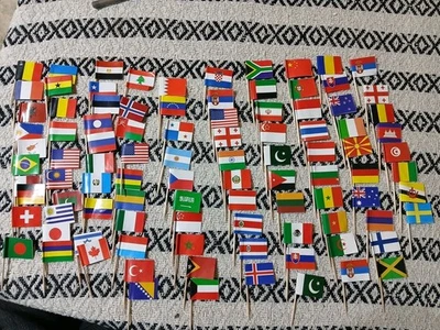 Different Countries Toothpick Flag 98 Pcs Mini Flags on Sticks International... - Image 1 of 4