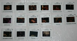 16 x 35mm Transparency / Slides - Beekeeping / The Honey Bee - Picture 1 of 6