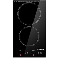 110 volt induction cooktop