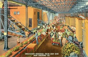 p44- vintage LINEN POSTCARD, LOADING BANANAS NEW ORLEANS, POSTMARK 1950 - Picture 1 of 2