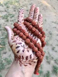 CERTIFICADO LABORATORIO 5 cuentas de oración Mukhi RUDRAKSHA Rudraksh Mala 108+1 11 mm - Imagen 1 de 7
