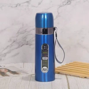 Thermoses Bullet Vacuum Flask Thermal Gym Cup 500ML Insulated Sport Bottle 304 S - Picture 1 of 5