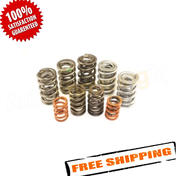 Isky Racing Cams VWE005 Valve Spring Set - Image 1 of 2