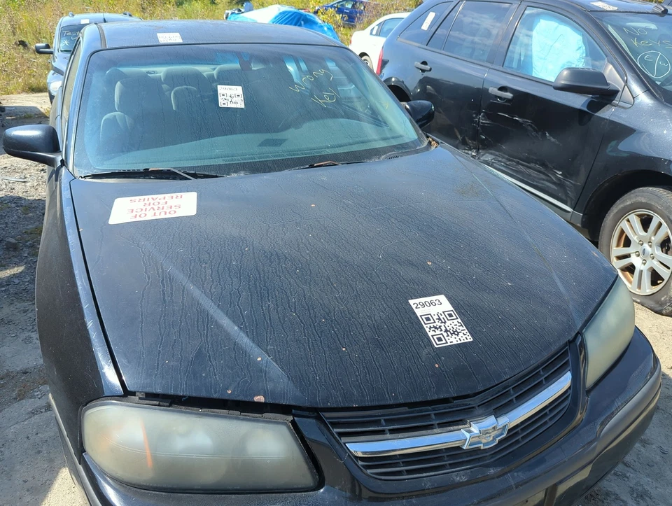 Capô Chevrolet Impala 2000-2005 fabricante de equipamento original AB9HB - Imagem 1 de 1