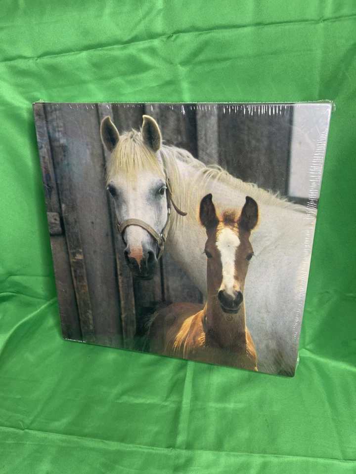 Springbok (01547) 500 Piece Jigsaw Puzzle Summer Creek