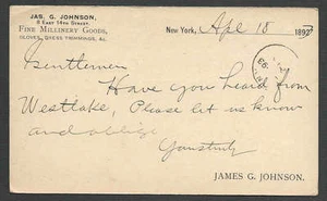 1893 PC NY JAS G JOHNSON MILLINERY GOODS GLOVES DRESS TRIMMINGS POSTED - Picture 1 of 1