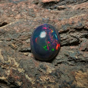4,55 ct AAA-Qualität Schwarzopal ovale Form lebendiger äthiopischer Feueropal Cabochon - Bild 1 von 10