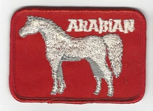 Bestickter Aufnäher Arabisches Pferd zum Aufnähen 3,5 Zoll Vintage FFA 4-H Rodeo Farm Ranch - Bild 1 von 1