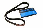 Dayco Day5pk1250 V-Ribbed Belt Oe Replacement