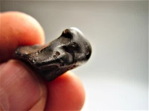 TOP QUALITÄT! ORIENTED BULLET! SCHÖNER NASENZAPFEN! BESTER SIKHOTE-ALIN METEORIT 13,7 GM - Bild 1 von 7