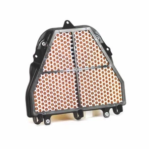 Filtro de aire OEM Triumph Daytona 675 y Speed Triple/R - T2208164 - Imagen 1 de 1