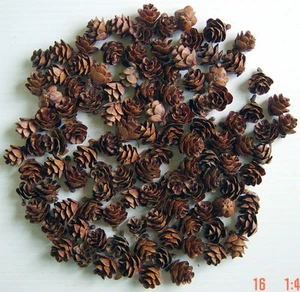 LOT OF 110 LARCH-TREE CONES FOR CHRISTMAS DECORATIONS, MINI CONES 1"x ¾" EACH - Picture 1 of 8